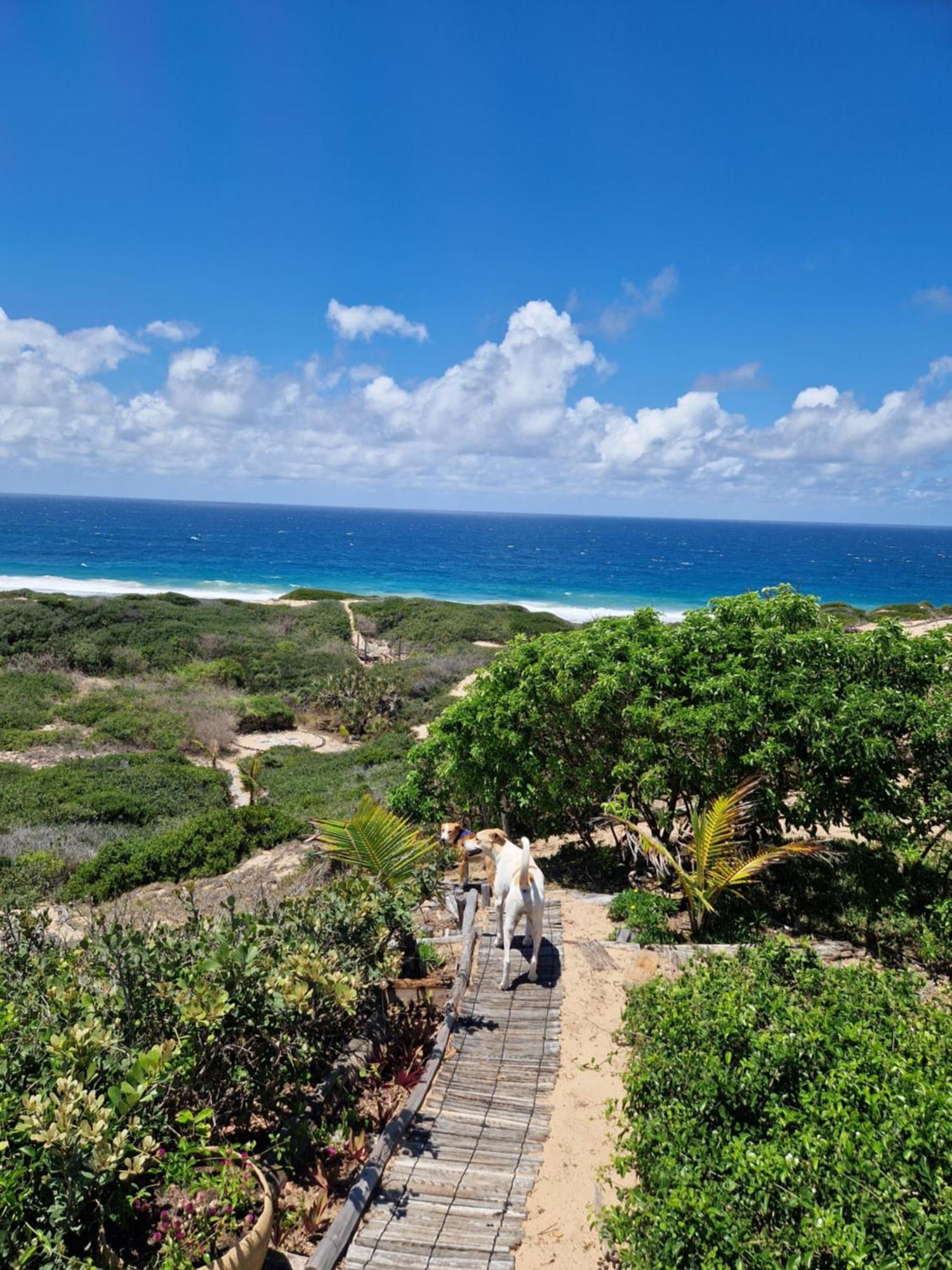 Mar-Me-Quer, Eco Beach Retreat Inhambane Exterior photo