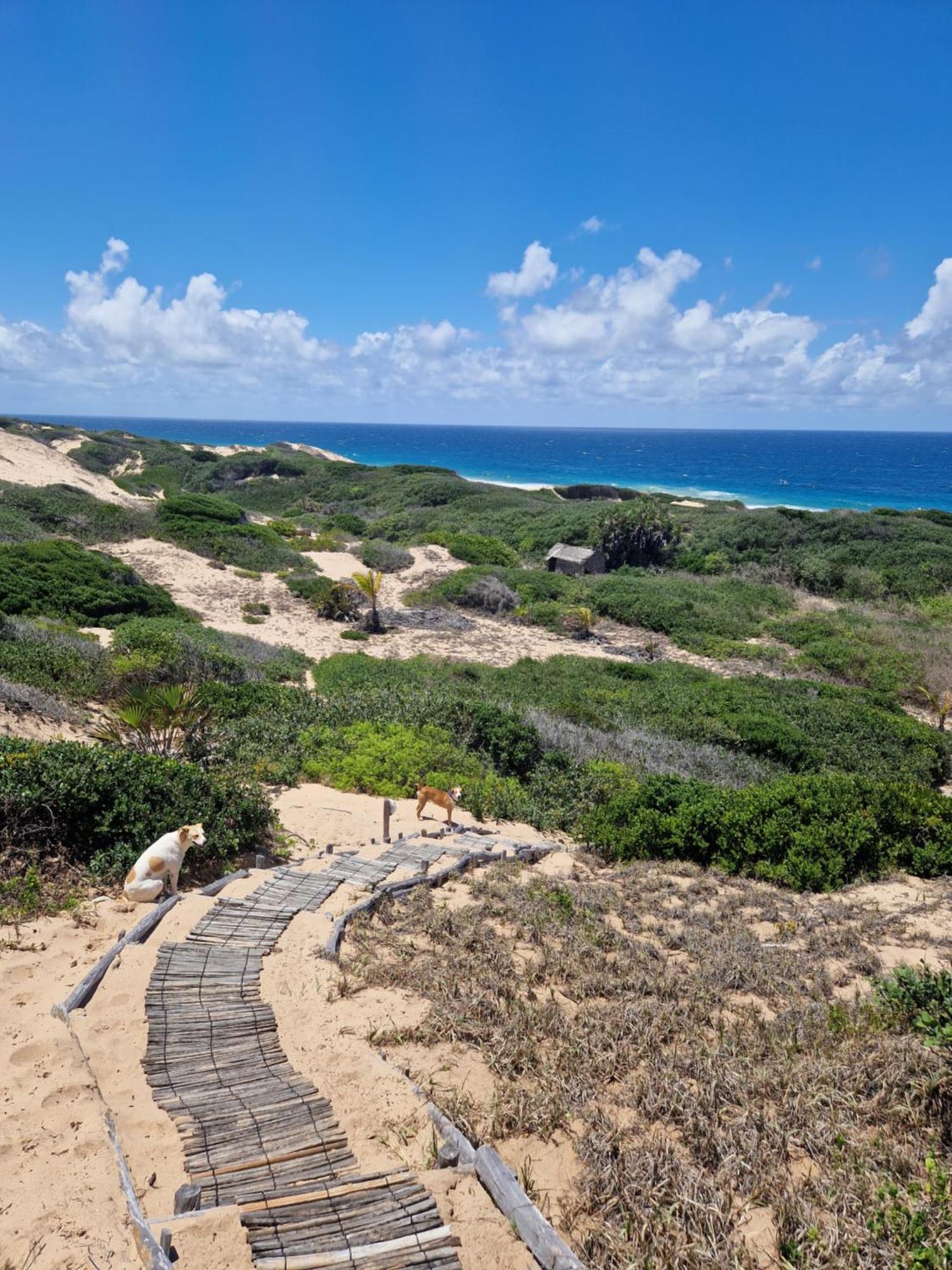 Mar-Me-Quer, Eco Beach Retreat Inhambane Exterior photo