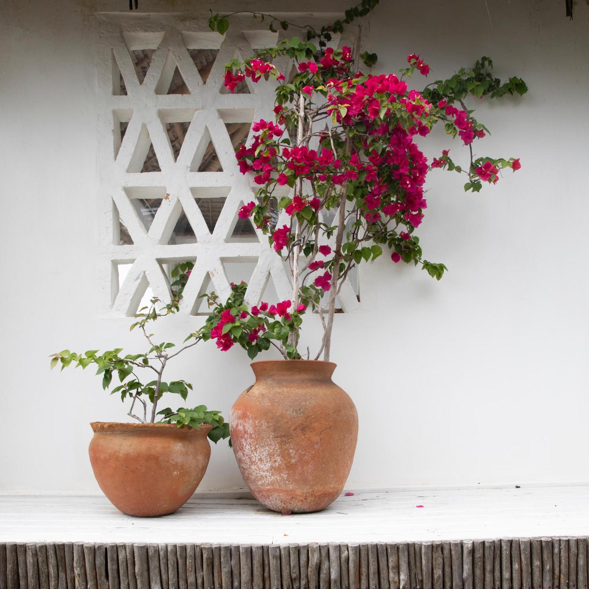 Mar-Me-Quer, Eco Beach Retreat Inhambane Exterior photo